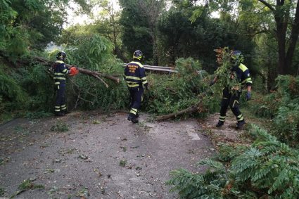 Maltempo. Piogge previste anche oggi. I danni di ieri